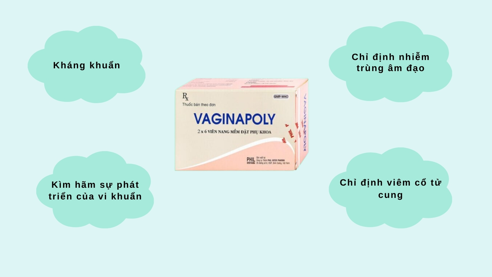 Công dụng và chỉ định của Vaginapoly